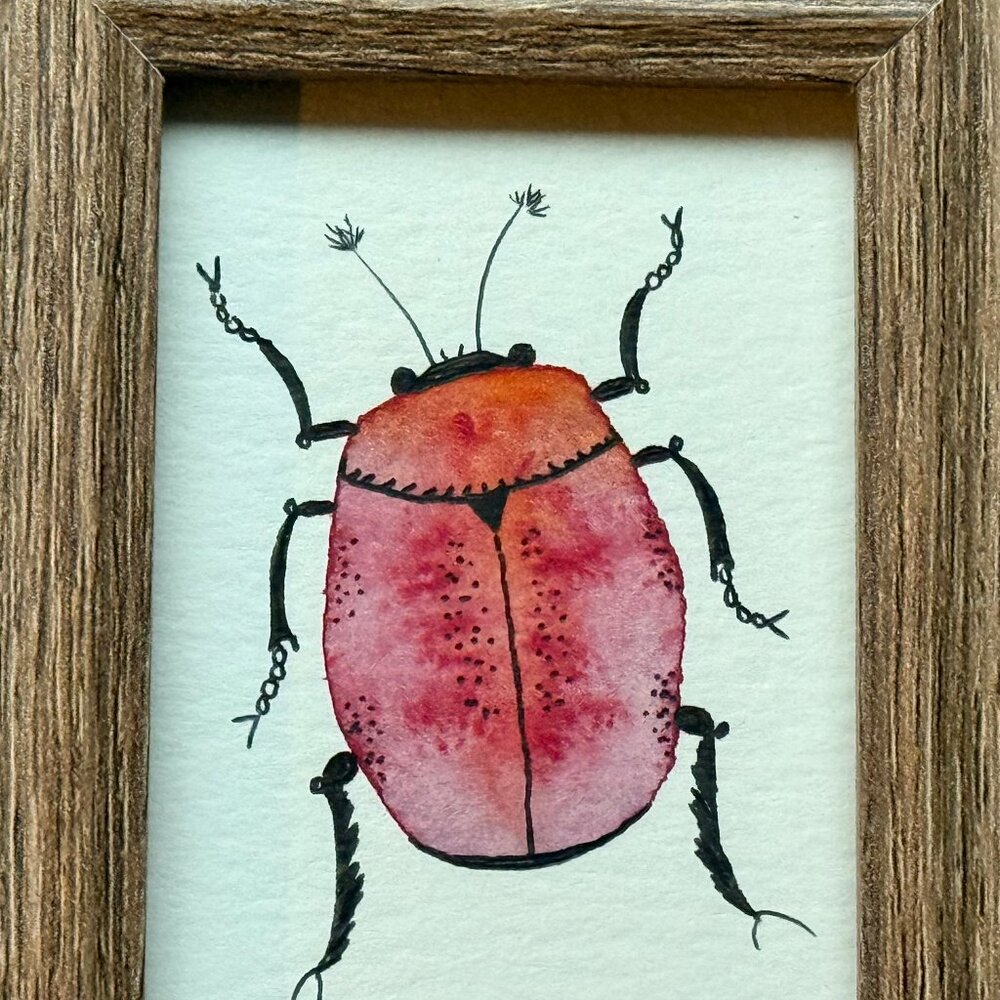 Art Watercolor and Ink Beetle Framed Handmade - Picture 2 of 3